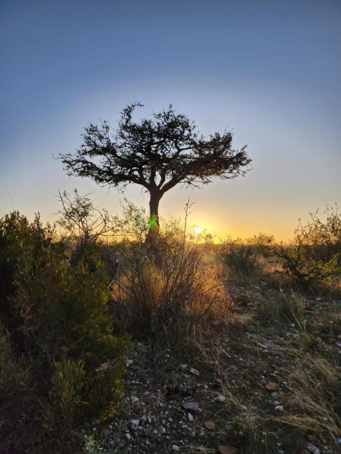 Leopard'S View Mountain Villa @ Steinheim Game Farm & Camping Prospect Exteriér fotografie